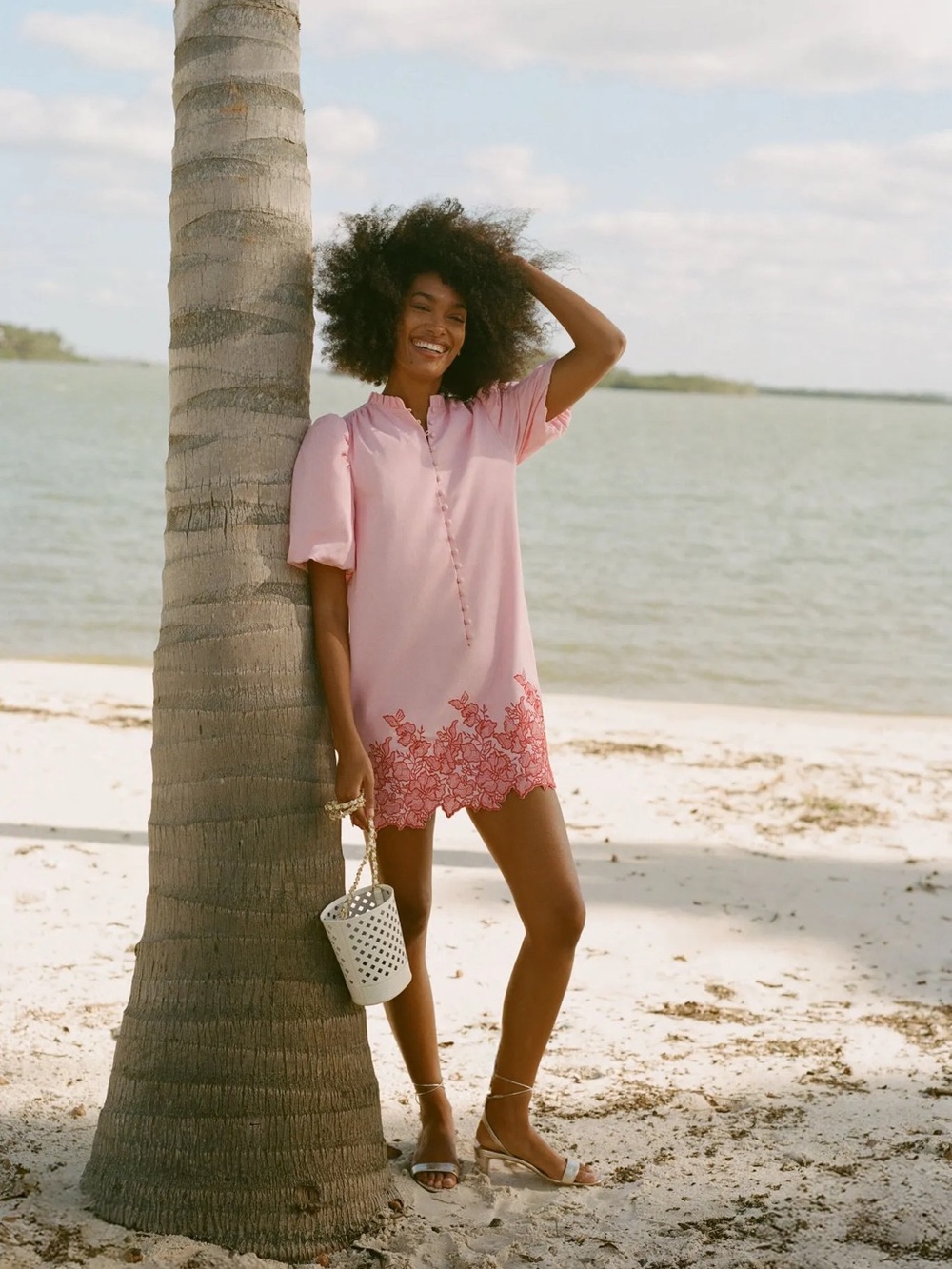 Hyacinth House Tuckernuck Mimi embroidered mini dress Small - Picture 5 of 8